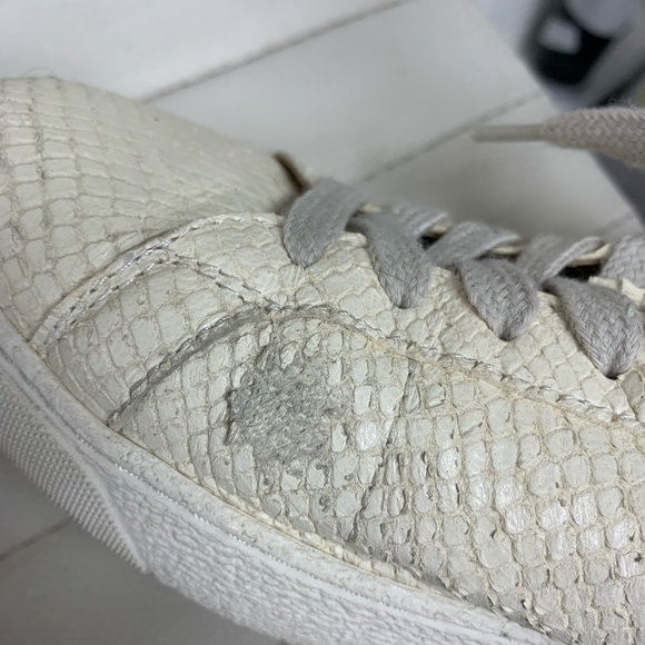 All Saints Sneakers with snake like emboss - Picture 11 of 14